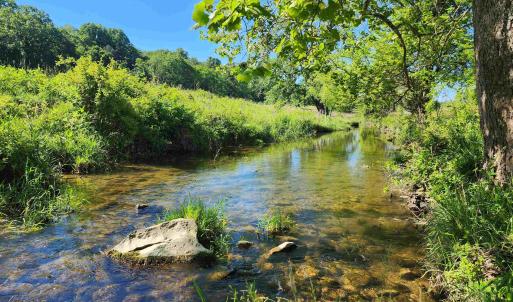 Photo #35 of TBD INDIAN TRAIL RD, PENN LAIRD, VA 31.6 acres