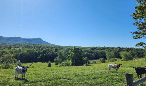 Photo #5 of TBD INDIAN TRAIL RD, PENN LAIRD, VA 31.6 acres