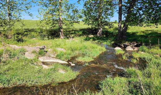 Photo #24 of TBD INDIAN TRAIL RD, PENN LAIRD, VA 31.6 acres