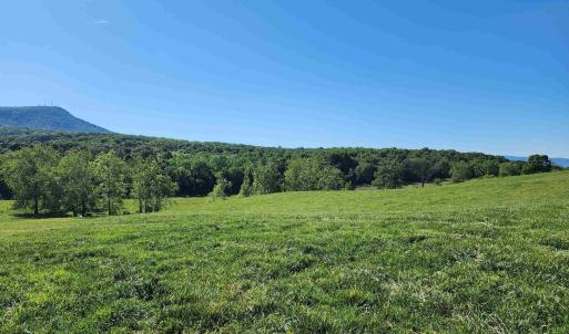 Photo #17 of TBD INDIAN TRAIL RD, PENN LAIRD, VA 31.6 acres