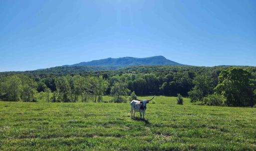 Photo #1 of TBD INDIAN TRAIL RD, PENN LAIRD, VA 31.6 acres