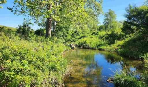 Photo #34 of TBD INDIAN TRAIL RD, PENN LAIRD, VA 31.6 acres