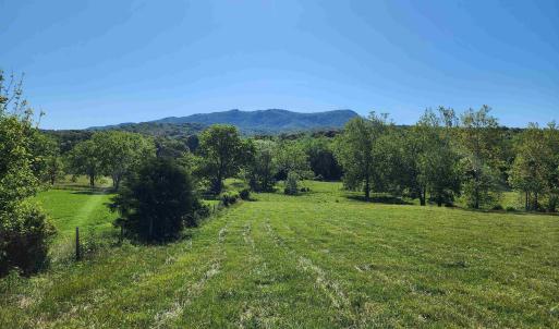 Photo #19 of TBD INDIAN TRAIL RD, PENN LAIRD, VA 31.6 acres
