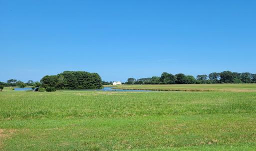 Photo #4 of Lot 67 ATLANTIC ST, ACCOMAC, VA 3.0 acres