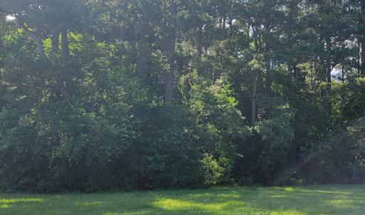 Photo #6 of Lot 67 ATLANTIC ST, ACCOMAC, VA 3.0 acres