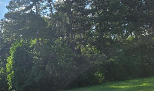 Photo #9 of Lot 67 ATLANTIC ST, ACCOMAC, VA 3.0 acres