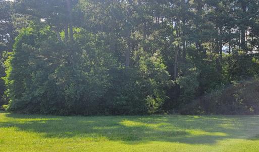 Photo #7 of Lot 67 ATLANTIC ST, ACCOMAC, VA 3.0 acres