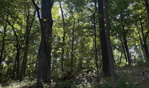 Photo #21 of TBD ARBOR HILL RD, STAUNTON, VA 66.5 acres