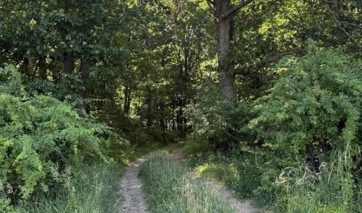 Photo #22 of TBD ARBOR HILL RD, STAUNTON, VA 66.5 acres