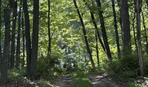 Photo #20 of TBD ARBOR HILL RD, STAUNTON, VA 66.5 acres