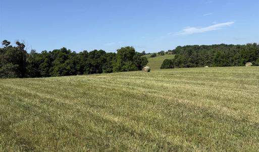 Photo #23 of TBD ARBOR HILL RD, STAUNTON, VA 66.5 acres