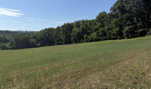 Photo #17 of TBD ARBOR HILL RD, STAUNTON, VA 66.5 acres