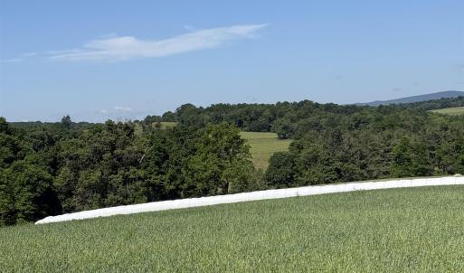 Photo #14 of TBD ARBOR HILL RD, STAUNTON, VA 66.5 acres