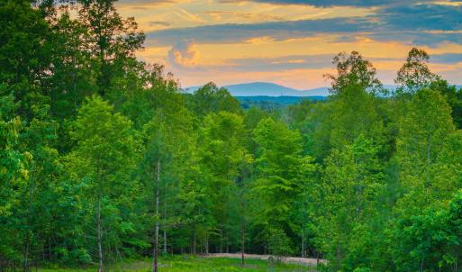 Photo #26 of GILBERT STATION RD, BARBOURSVILLE, VA 3.6 acres