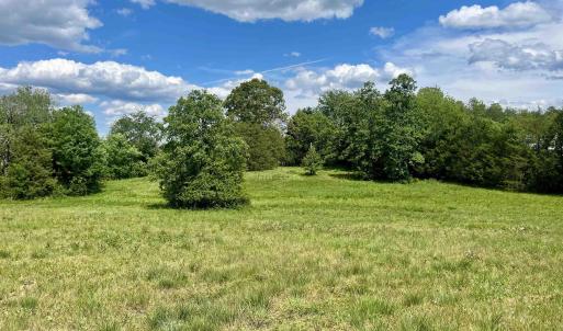 Photo #3 of BURCHS CREEK RD, CROZET, VA 2.2 acres