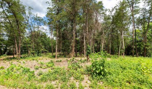 Photo #6 of 717 CEDAR MEADOW DR, NELLYSFORD, VA 0.9 acres