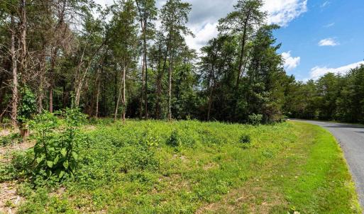 Photo #7 of 717 CEDAR MEADOW DR, NELLYSFORD, VA 0.9 acres