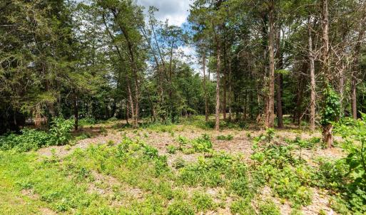 Photo #8 of 717 CEDAR MEADOW DR, NELLYSFORD, VA 0.9 acres