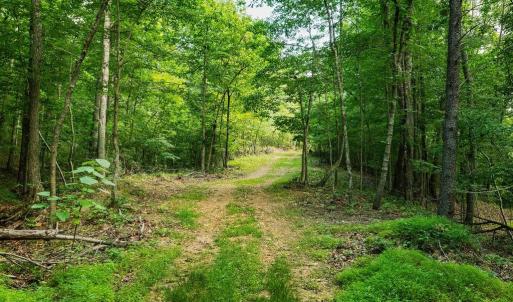 Photo #21 of TBD CALF MOUNTAIN RD, WAYNESBORO, VA 20.5 acres