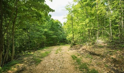 Photo #35 of TBD CALF MOUNTAIN RD, WAYNESBORO, VA 20.5 acres