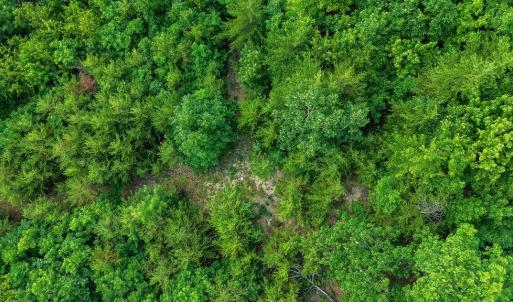 Photo #30 of TBD CALF MOUNTAIN RD, WAYNESBORO, VA 20.5 acres