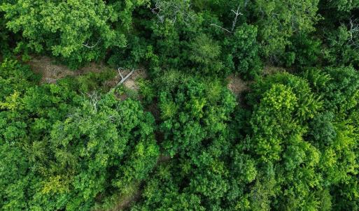 Photo #27 of TBD CALF MOUNTAIN RD, WAYNESBORO, VA 20.5 acres