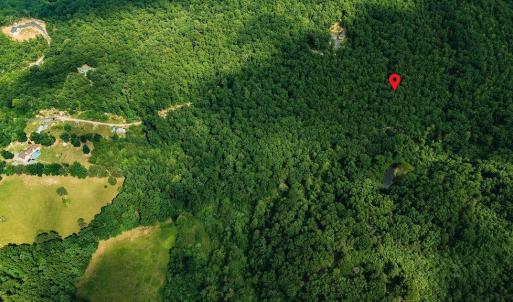 Photo #13 of TBD CALF MOUNTAIN RD, WAYNESBORO, VA 20.5 acres