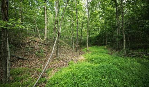 Photo #34 of TBD CALF MOUNTAIN RD, WAYNESBORO, VA 20.5 acres