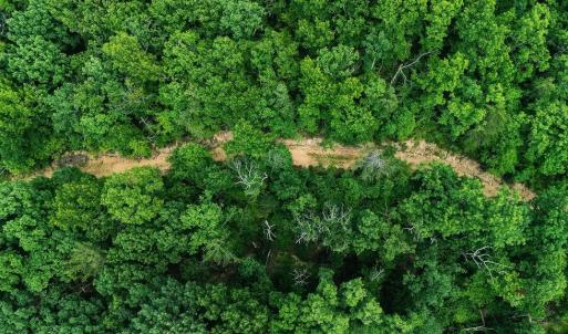 Photo #15 of TBD CALF MOUNTAIN RD, WAYNESBORO, VA 20.5 acres
