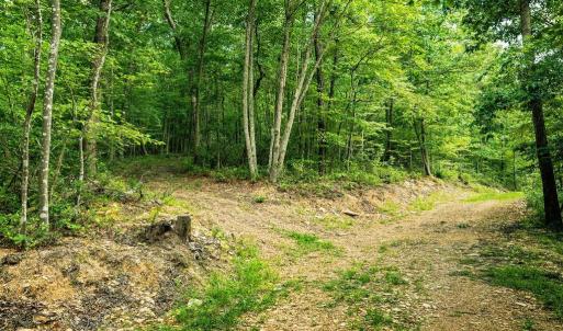 Photo #22 of TBD CALF MOUNTAIN RD, WAYNESBORO, VA 20.5 acres