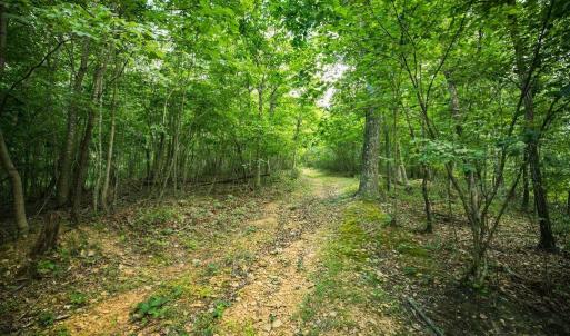 Photo #33 of TBD CALF MOUNTAIN RD, WAYNESBORO, VA 20.5 acres