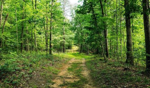 Photo #20 of TBD CALF MOUNTAIN RD, WAYNESBORO, VA 20.5 acres