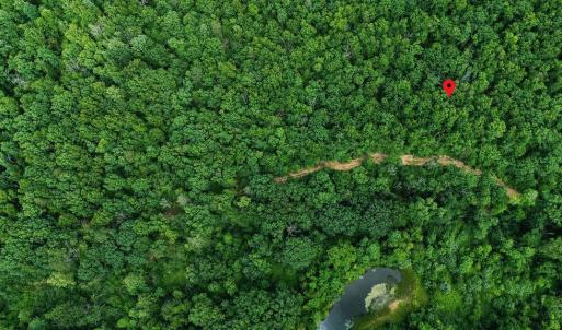 Photo #14 of TBD CALF MOUNTAIN RD, WAYNESBORO, VA 20.5 acres