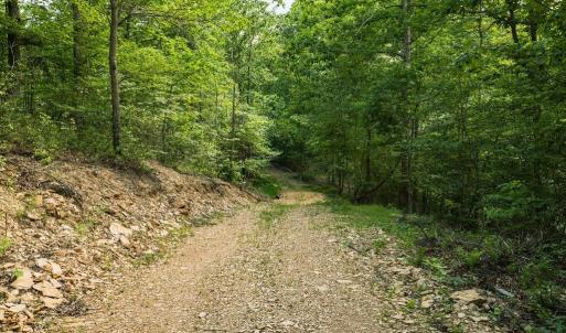 Photo #29 of TBD CALF MOUNTAIN RD, WAYNESBORO, VA 20.5 acres