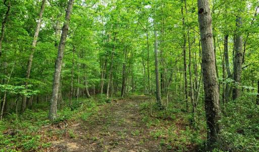 Photo #23 of TBD CALF MOUNTAIN RD, WAYNESBORO, VA 20.5 acres