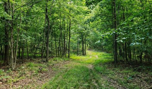 Photo #19 of TBD CALF MOUNTAIN RD, WAYNESBORO, VA 20.5 acres