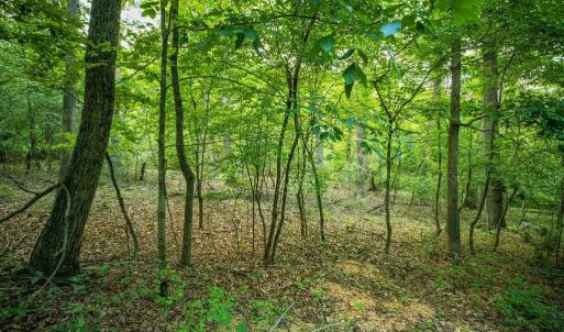 Photo #31 of TBD CALF MOUNTAIN RD, WAYNESBORO, VA 20.5 acres