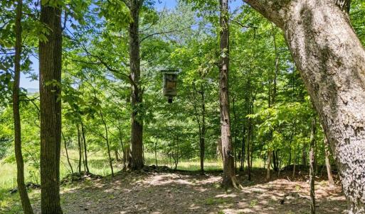 Photo #16 of Lot 19, 20, 21 HIDDEN HILL RD, STANLEY, VA 5.4 acres