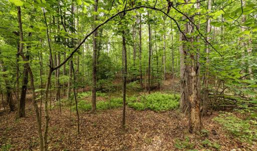Photo #11 of 45 GLEN EAGLES DR, GORDONSVILLE, VA 0.4 acres