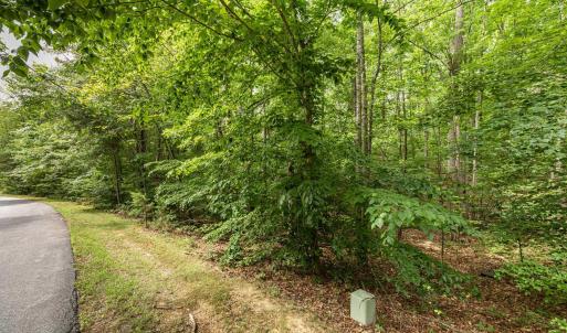 Lot 45 is wooded. But not super thick woods. So easier to prepare it for your dream home to be built.
