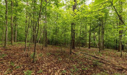 Photo #13 of 45 GLEN EAGLES DR, GORDONSVILLE, VA 0.4 acres