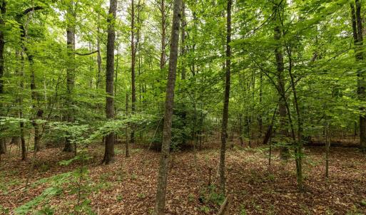Photo #12 of 45 GLEN EAGLES DR, GORDONSVILLE, VA 0.4 acres