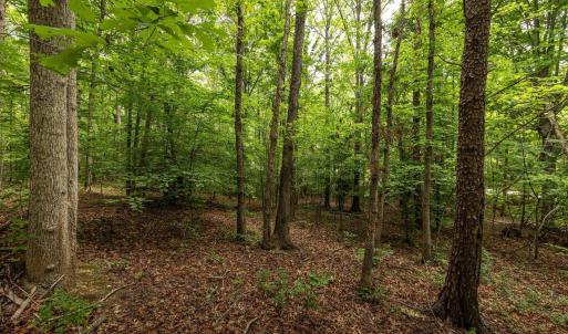 Photo #14 of 45 GLEN EAGLES DR, GORDONSVILLE, VA 0.4 acres
