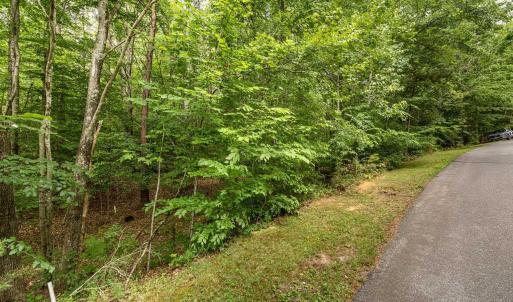 Photo #9 of 45 GLEN EAGLES DR, GORDONSVILLE, VA 0.4 acres