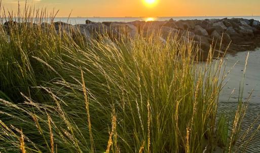 Photo #6 of 119 ABERDEEN WAY, CAPE CHARLES, VA 0.2 acres