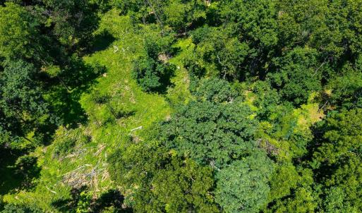 Photo #23 of MORRIS MILL RD, STAUNTON, VA 6.8 acres
