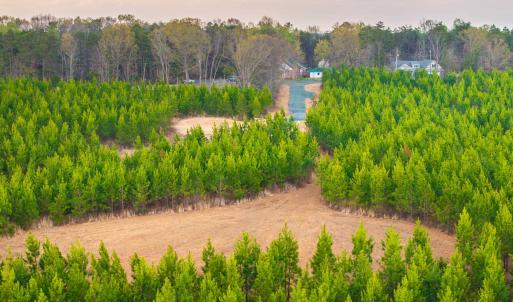 Photo #16 of EVERGREEN CHURCH RD, PALMYRA, VA 42.6 acres