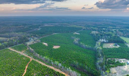 Photo #23 of EVERGREEN CHURCH RD, PALMYRA, VA 42.6 acres