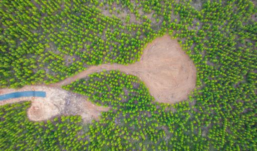 Photo #13 of EVERGREEN CHURCH RD, PALMYRA, VA 42.6 acres