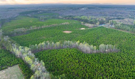 Photo #27 of EVERGREEN CHURCH RD, PALMYRA, VA 42.6 acres